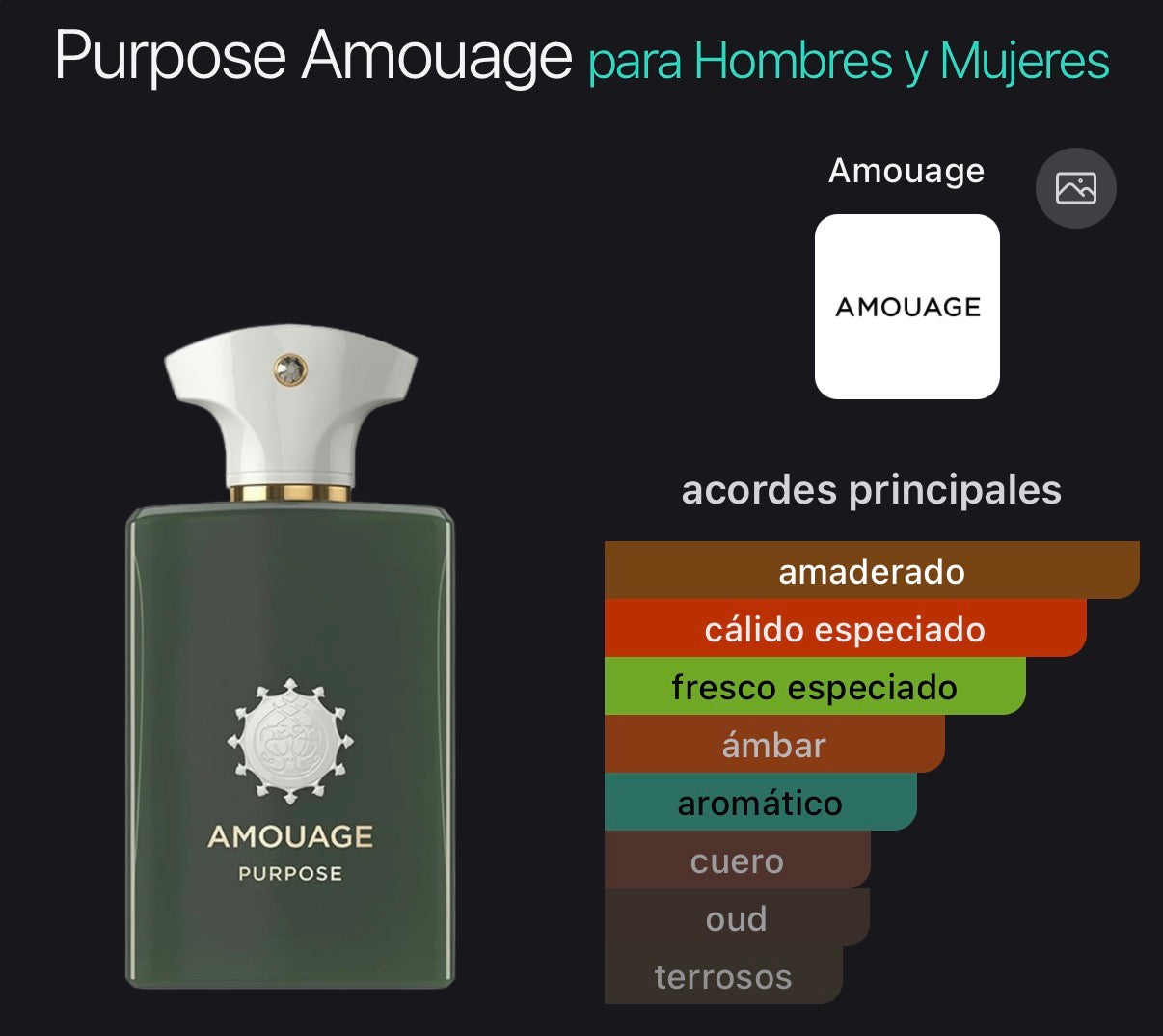 Amouage Purpose Eau de Parfum 100 ml