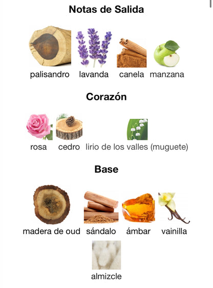 Alexandria II (Preventa)