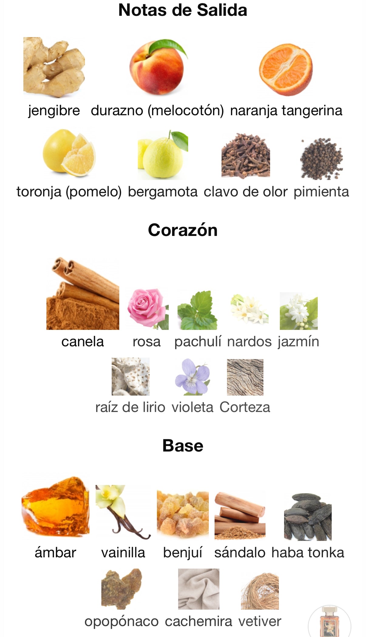 Sacred Flame Argos Eau de Parfum 100 ml