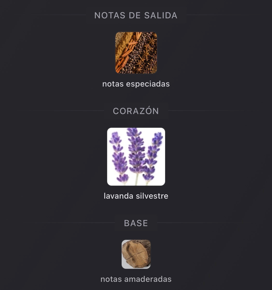 Notas olfativas de Uomo Born in Roma Extradose de Valentino