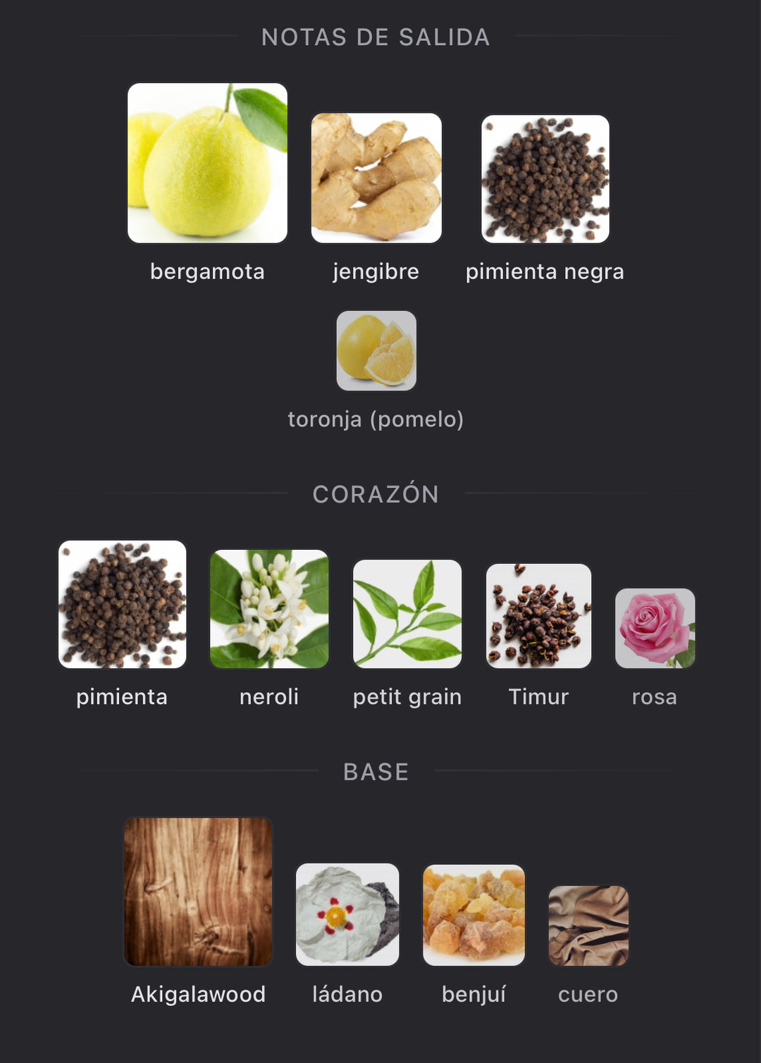 Notas olfativas de Castley de Parfums de Marly