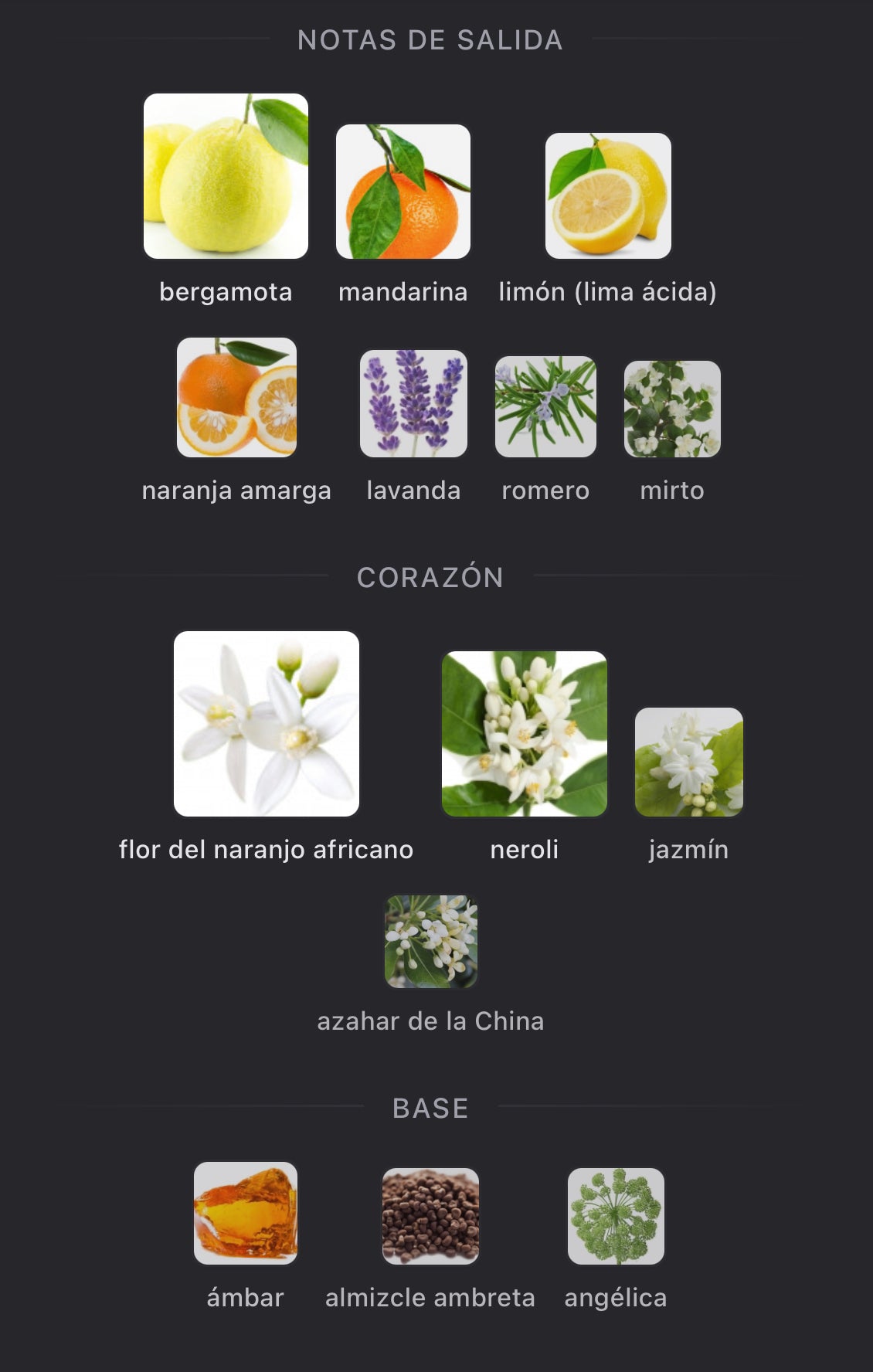 Notas olfativas de Neroli Portofino de Tom Ford