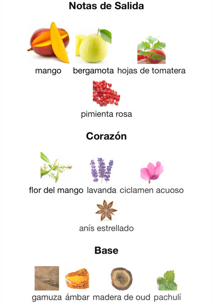 Blockade Mind Games Extrait de Parfum 100 ml (Preventa)