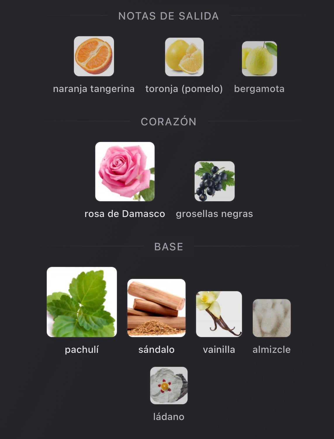 Richwood Xerjoff Eau de Parfum (Preventa)