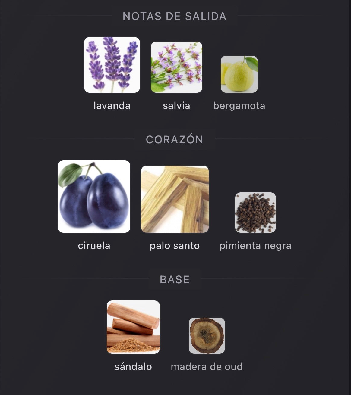 Paragon Initio Parfums Privés Extrait de Parfum 90 ml