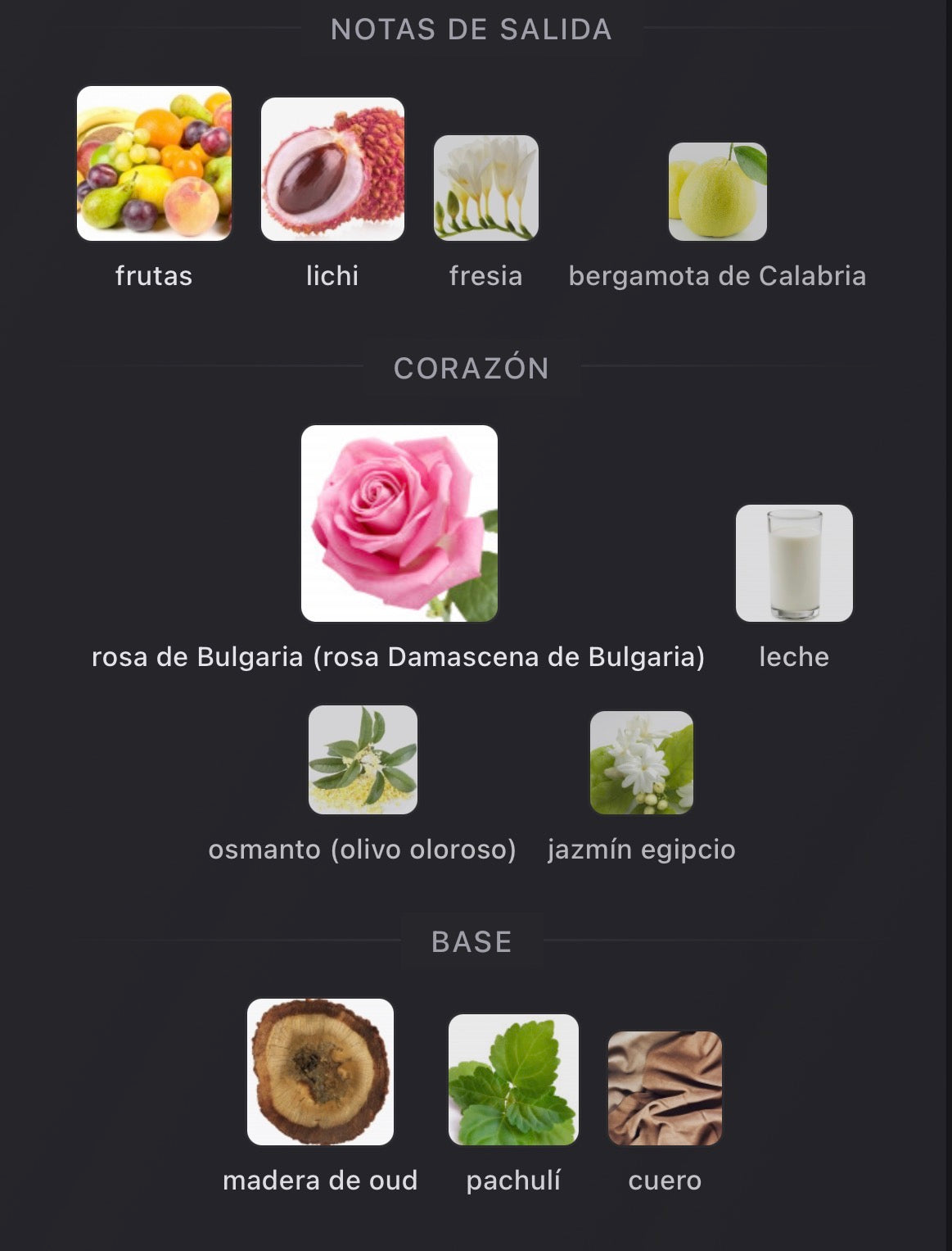 Soprano Xerjoff Eau de Parfum 100 ml (Preventa)
