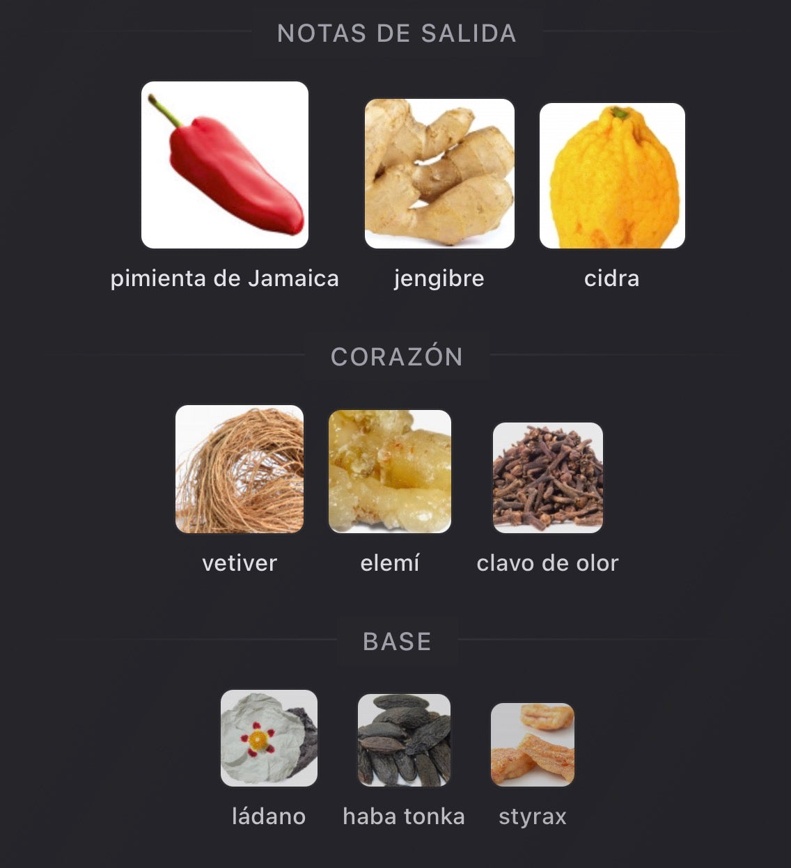 Notas olfativas de Perseveranza de Xerjoff x Lamborghini