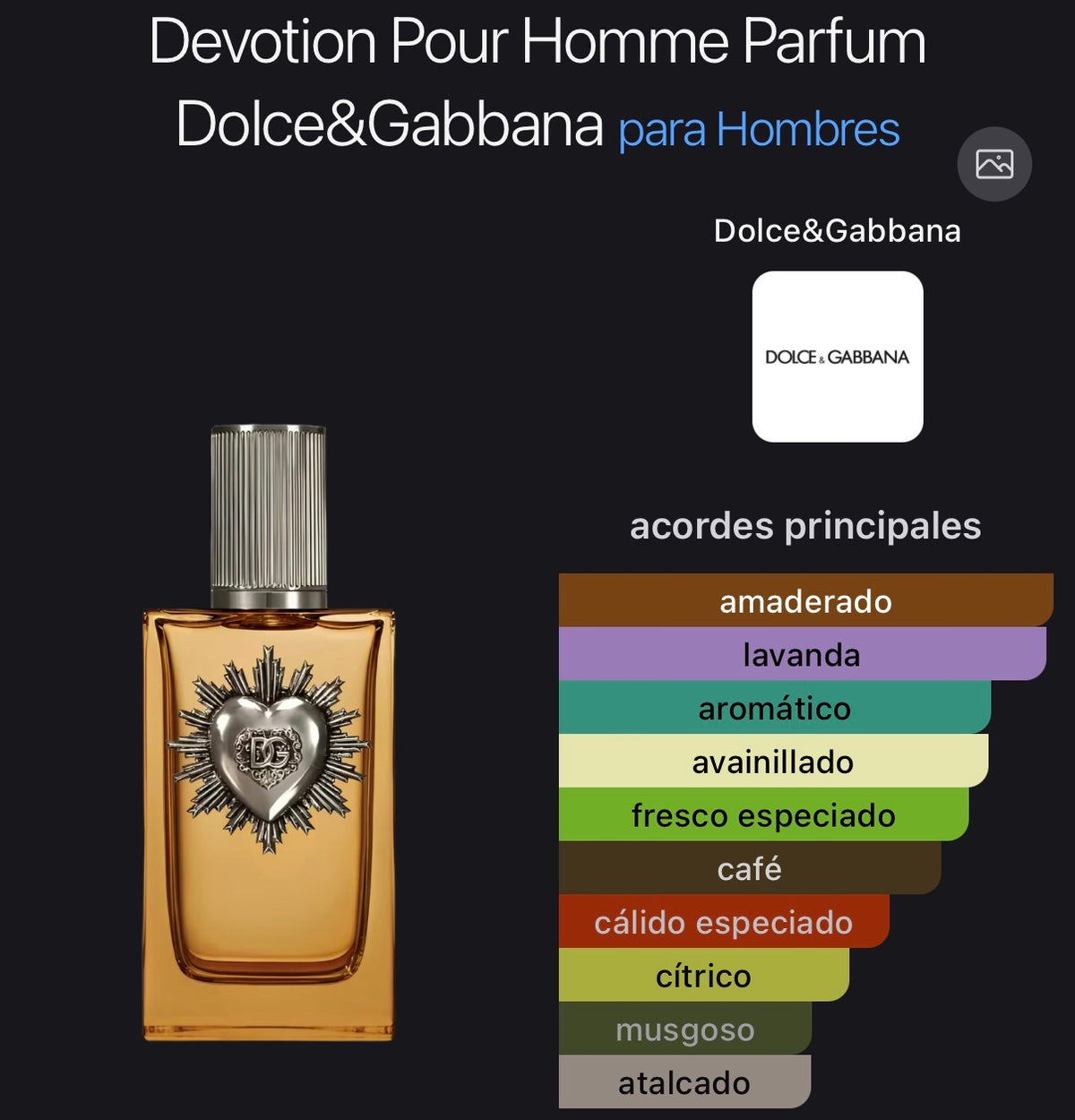Devotion Pour Homme Parfum Dolce & Gabanna 100 ml