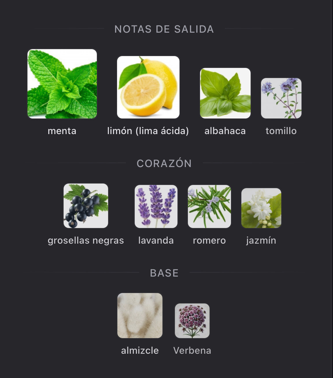 Torino 21 Xerjoff Eau de Parfum