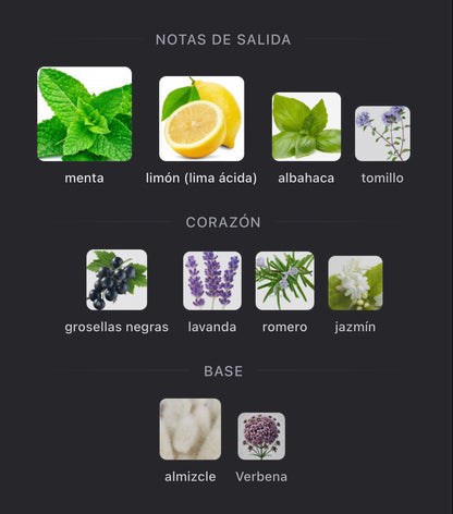 Torino 21 Xerjoff Eau de Parfum