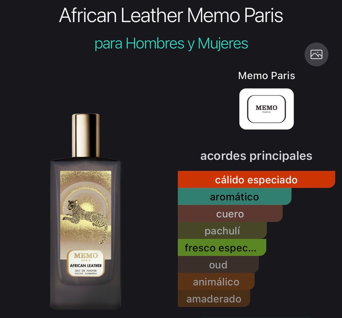 Acordes principales de African Leather de Memo Paris