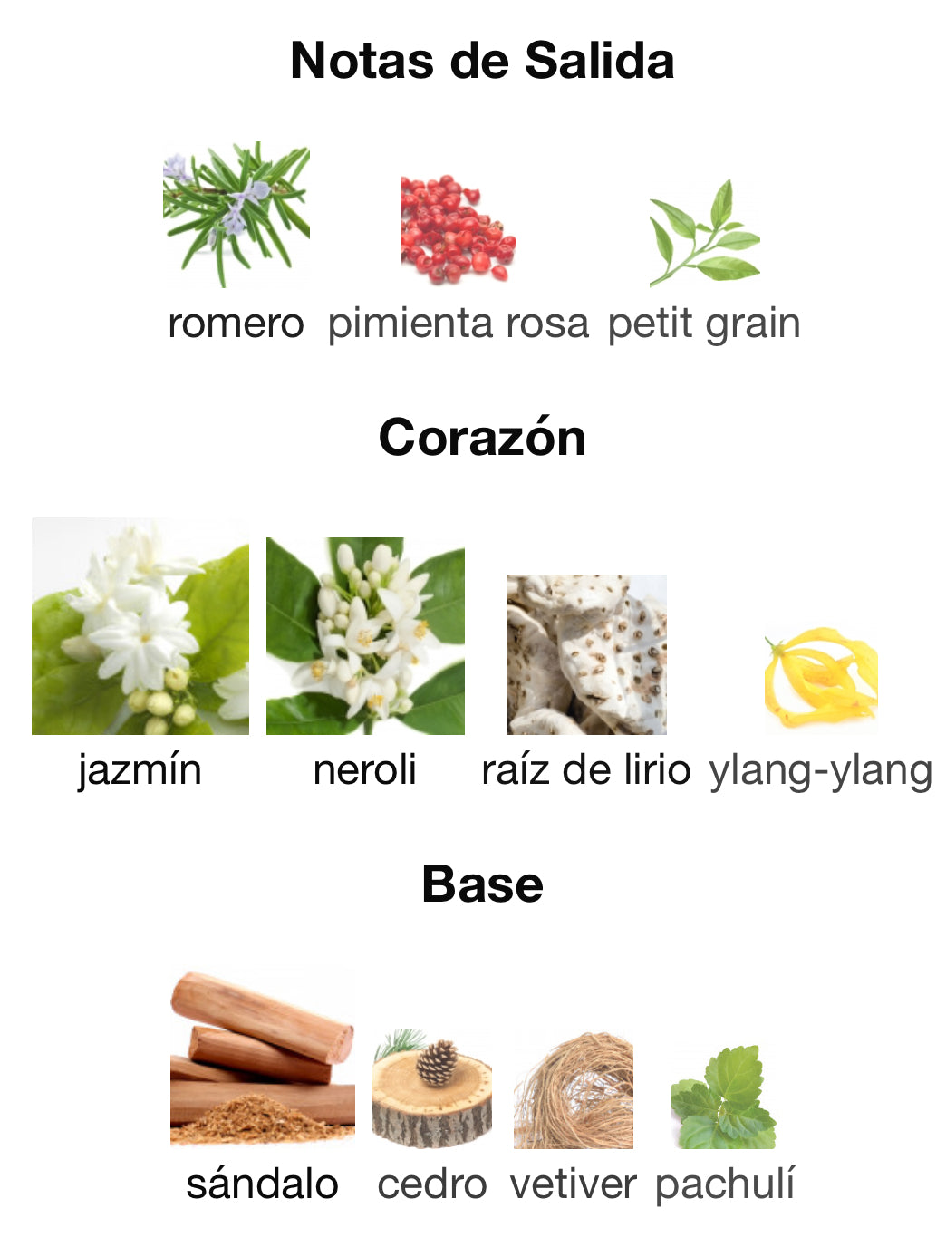 Amouage Reflection Man EDP 100 ml