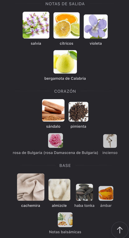 DGAF Eau de Parfum BORNTOSTANDOUT® 50 ml (Preventa)