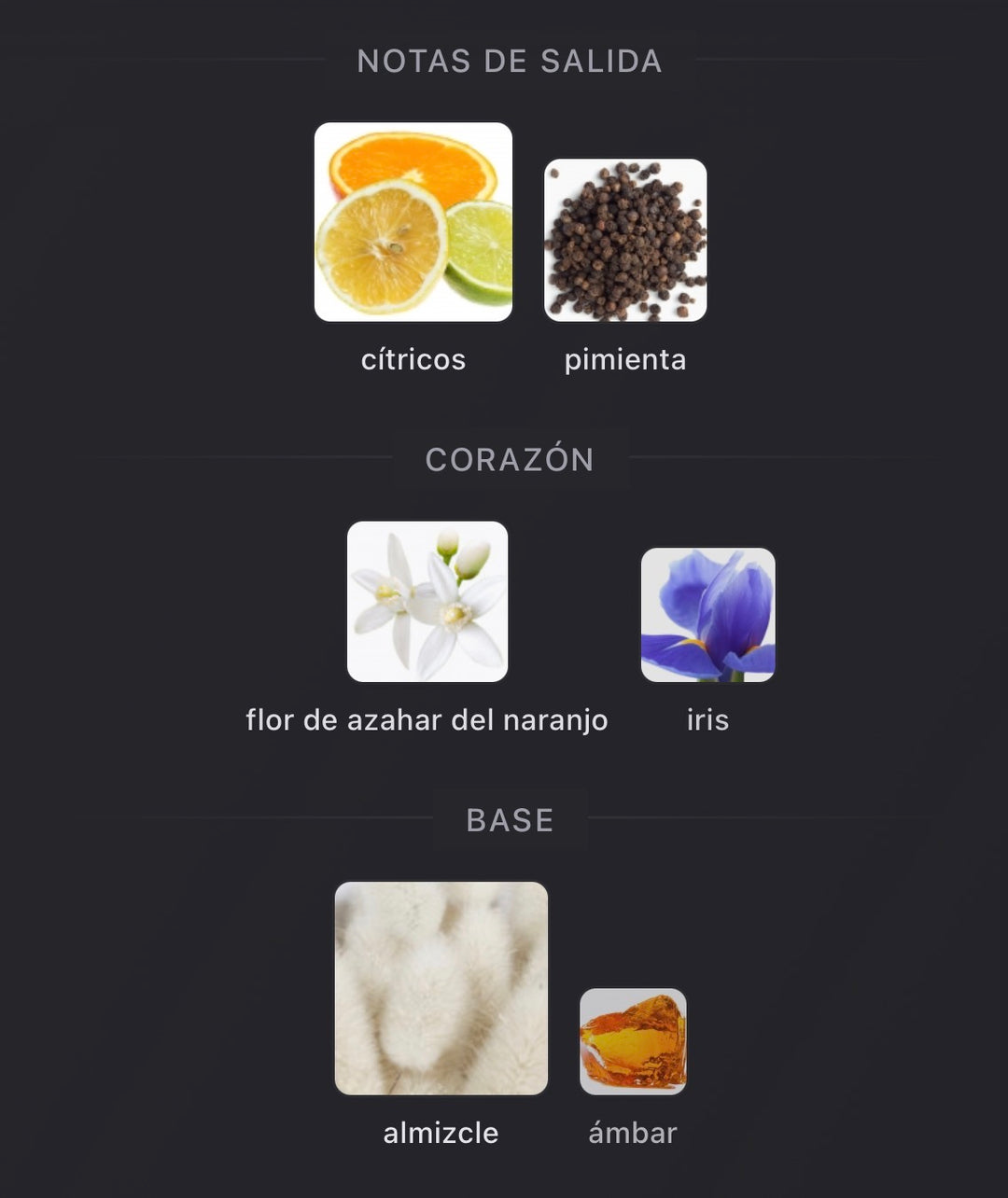 Notas olfativas de Galloway de Parfums de Marly