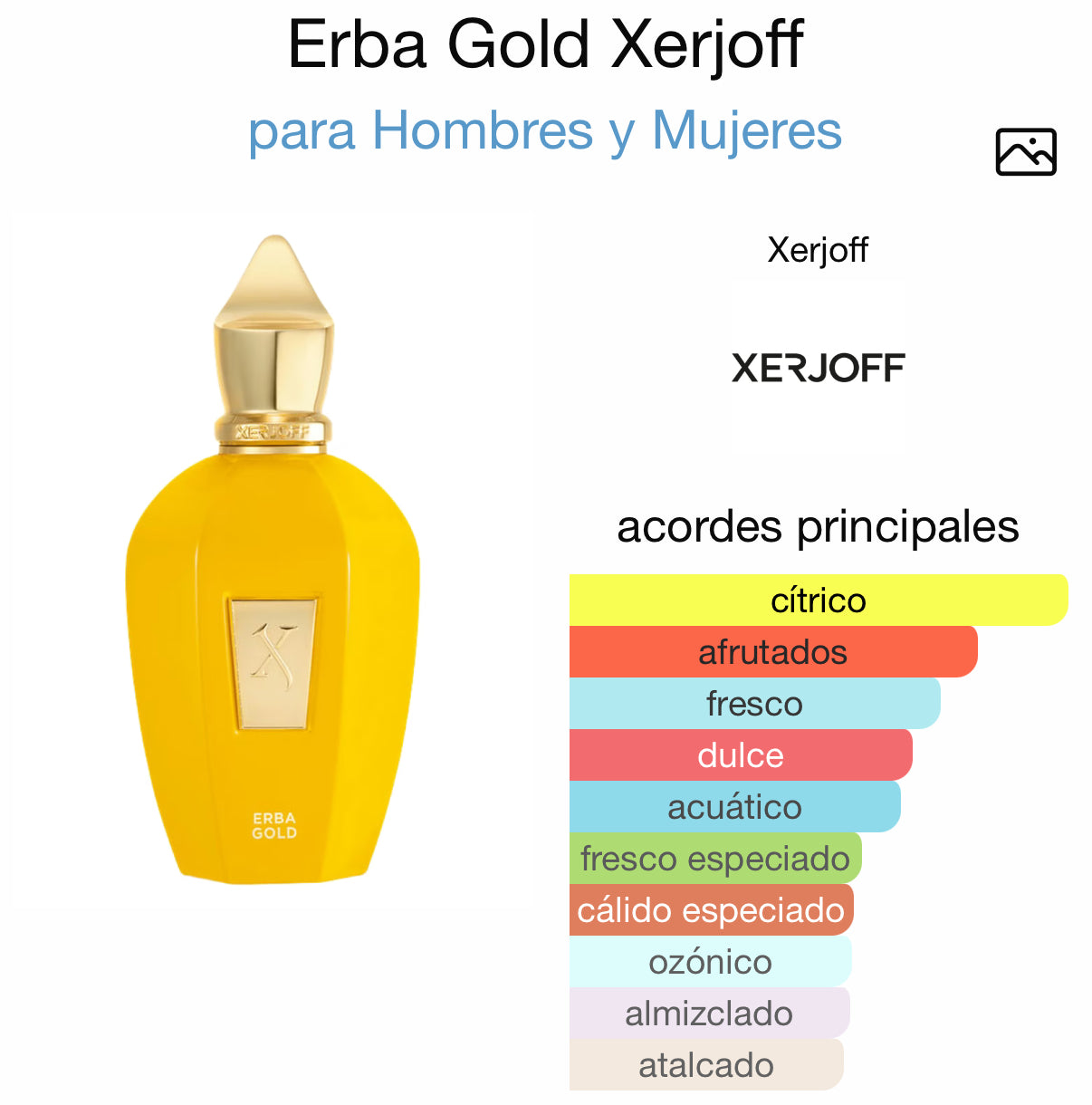 Erba Gold Xerjoff Eau de Parfum