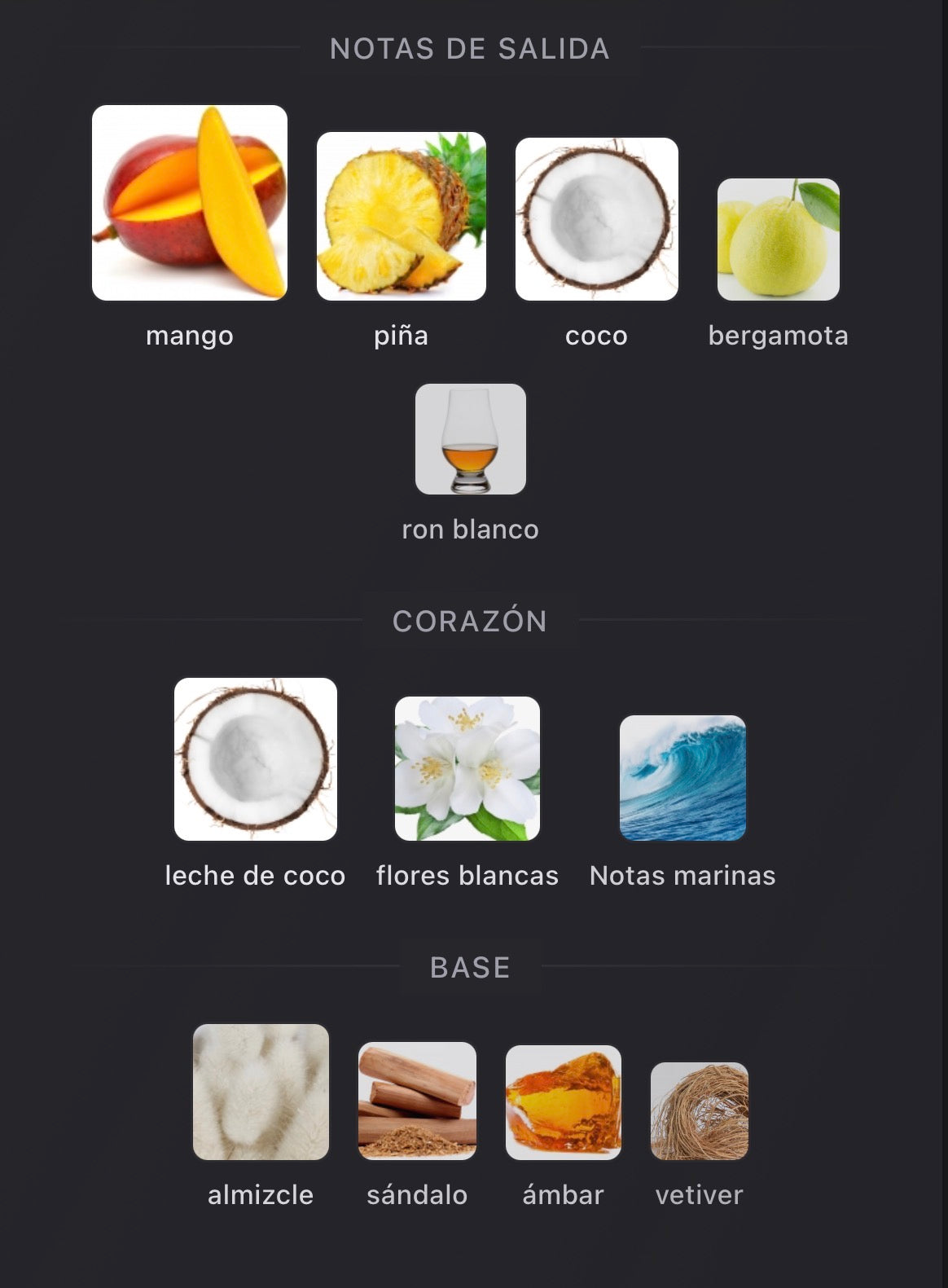 Notas olfativas de Summer Hammer de Lorenzo Pazzaglia
