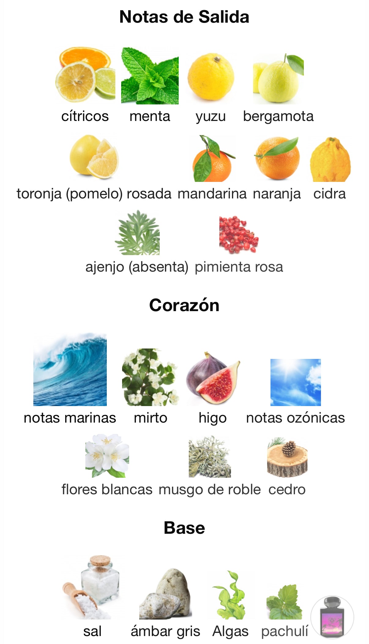 Lorenzo Pazzaglia Sex Sea Extrait de Parfum 50 ml