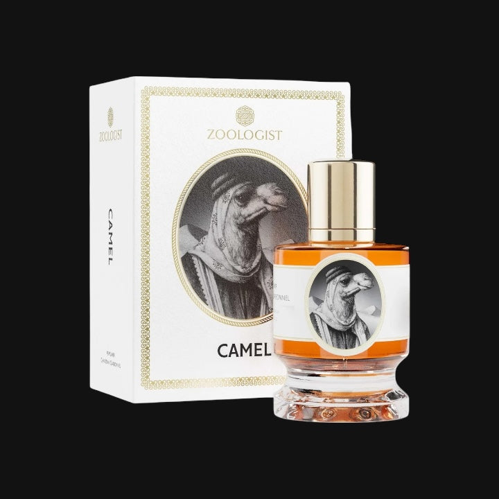 Camel de Zoologist con frasco y caja