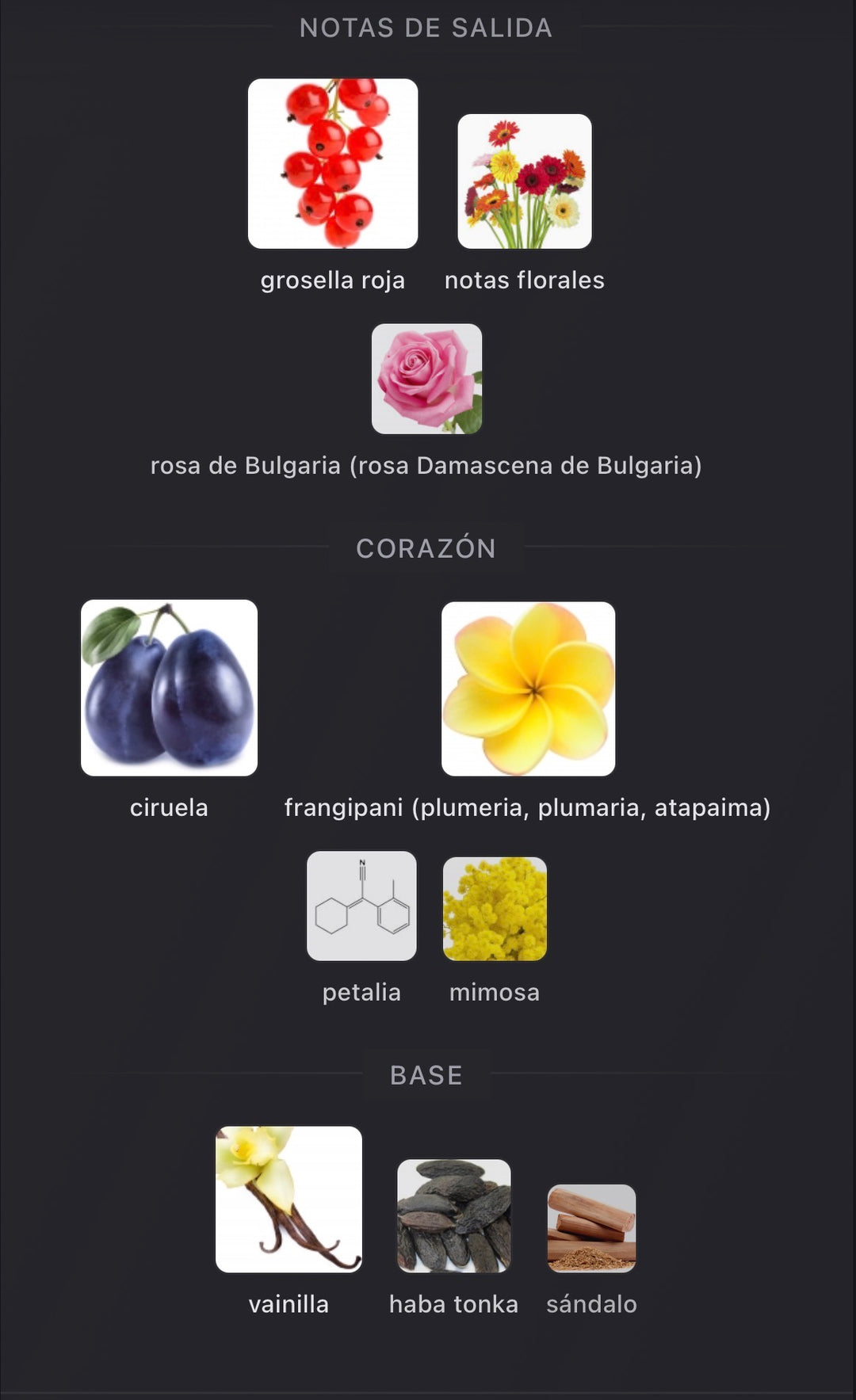 Notas olfativas de Cassili de Parfums de Marly