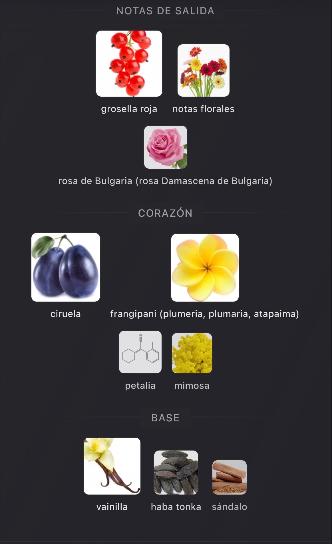 Casilli Parfums de Marly Eau de Parfum 75 ml