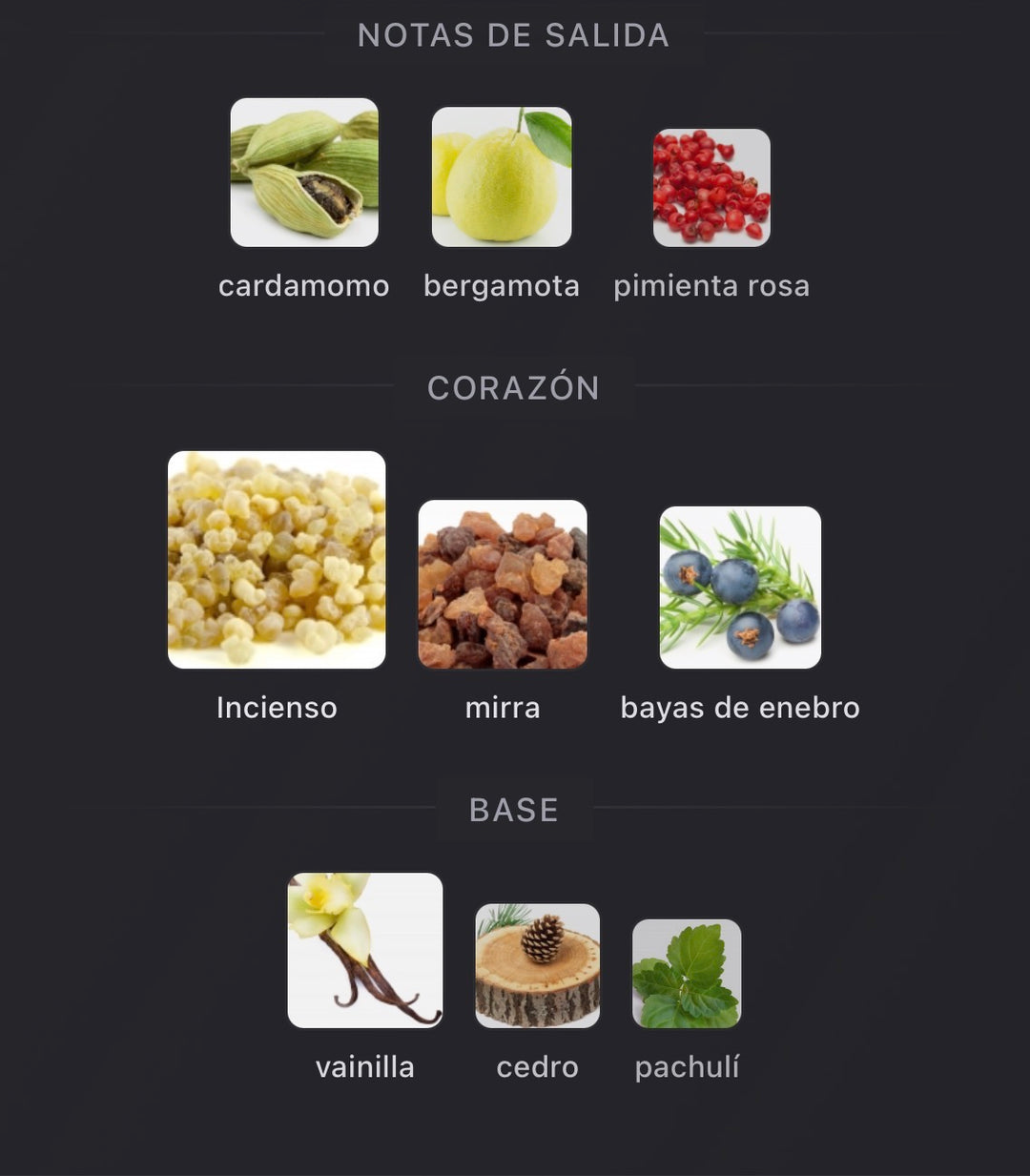 Notas olfativas de Decision de Amouage