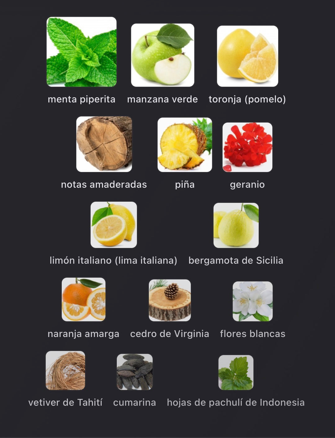 Notas olfativas de Gladiator de Sora Dora