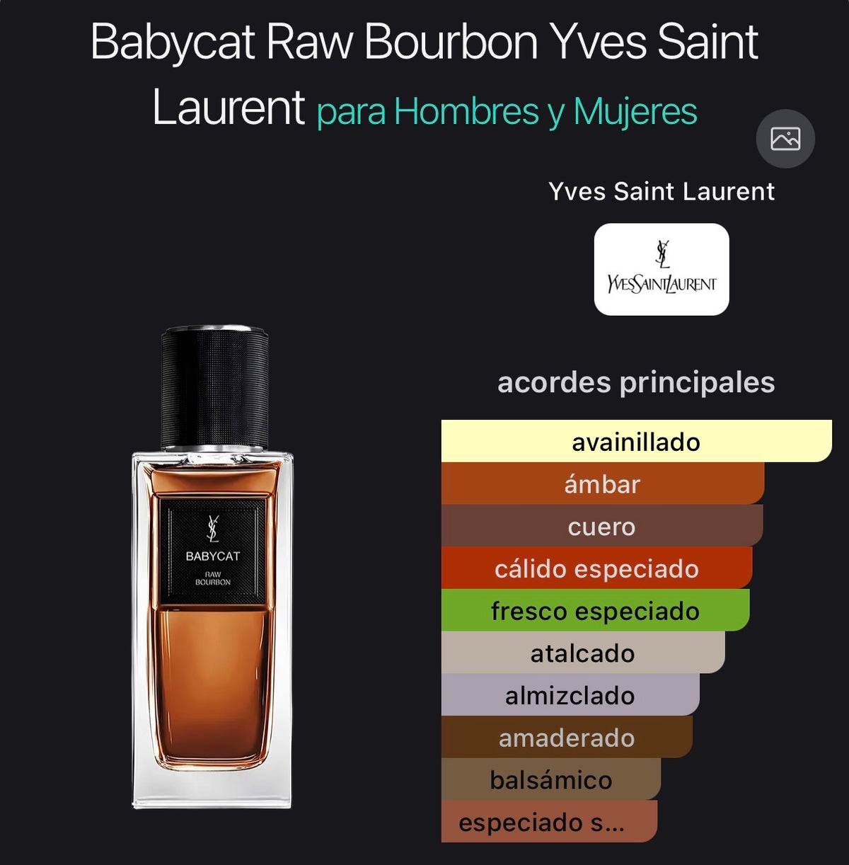 Acordes principales de Babycat Raw Bourbon de Yves Saint Laurent