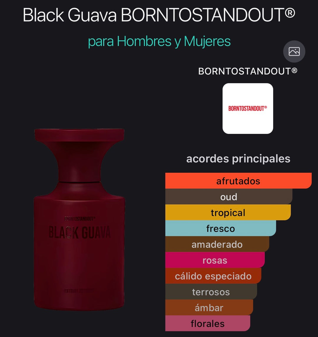 Acordes principales de Black Guava de BORNTOSTANDOUT