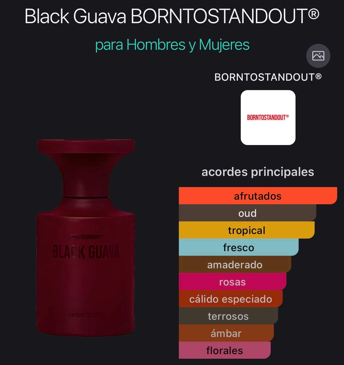 Black Guava BORNTOSTANDOUT® Extrait de Parfum