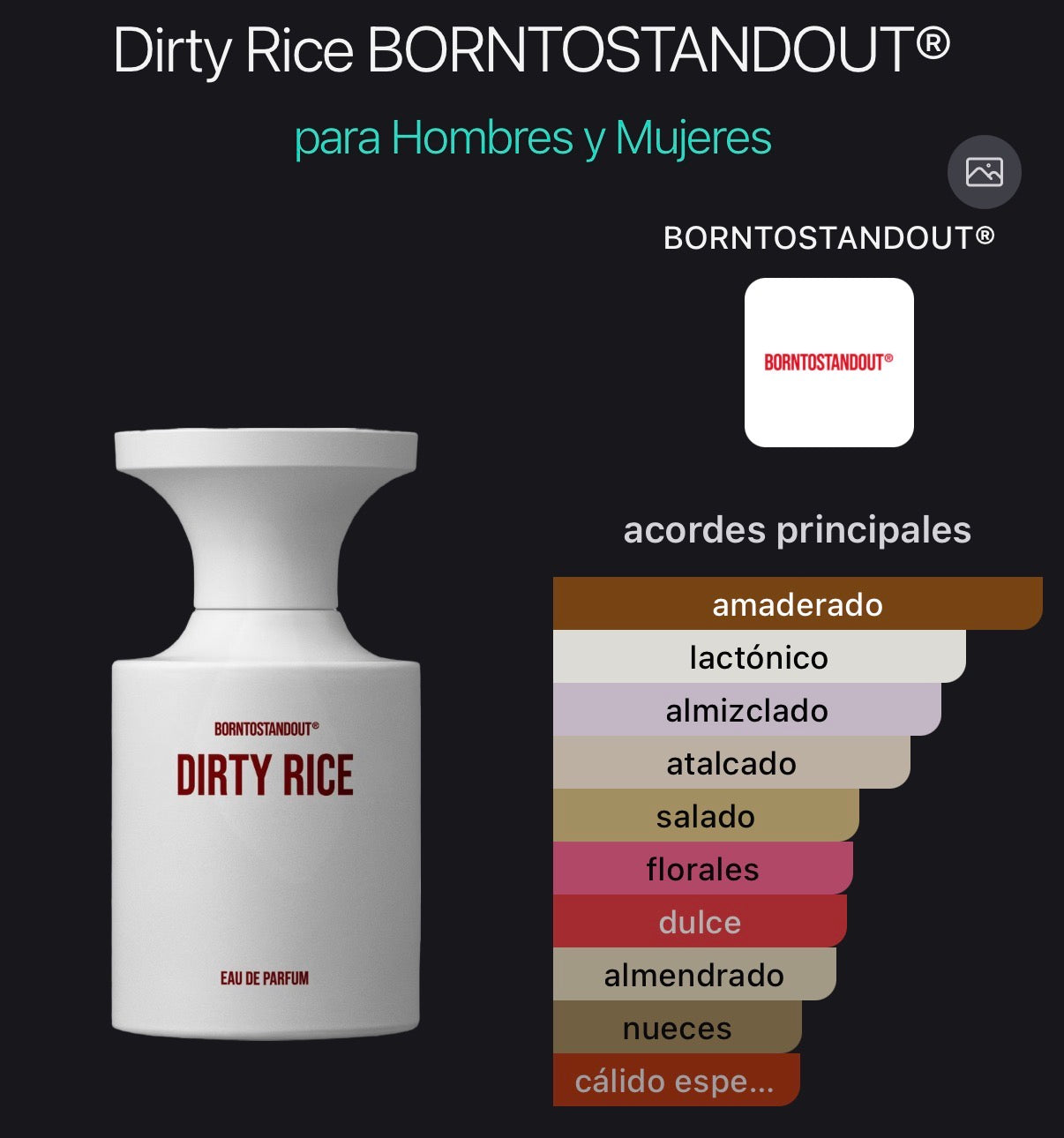 Dirty Rice BORNTOSTANDOUT® Eau de Parfum (Preventa)