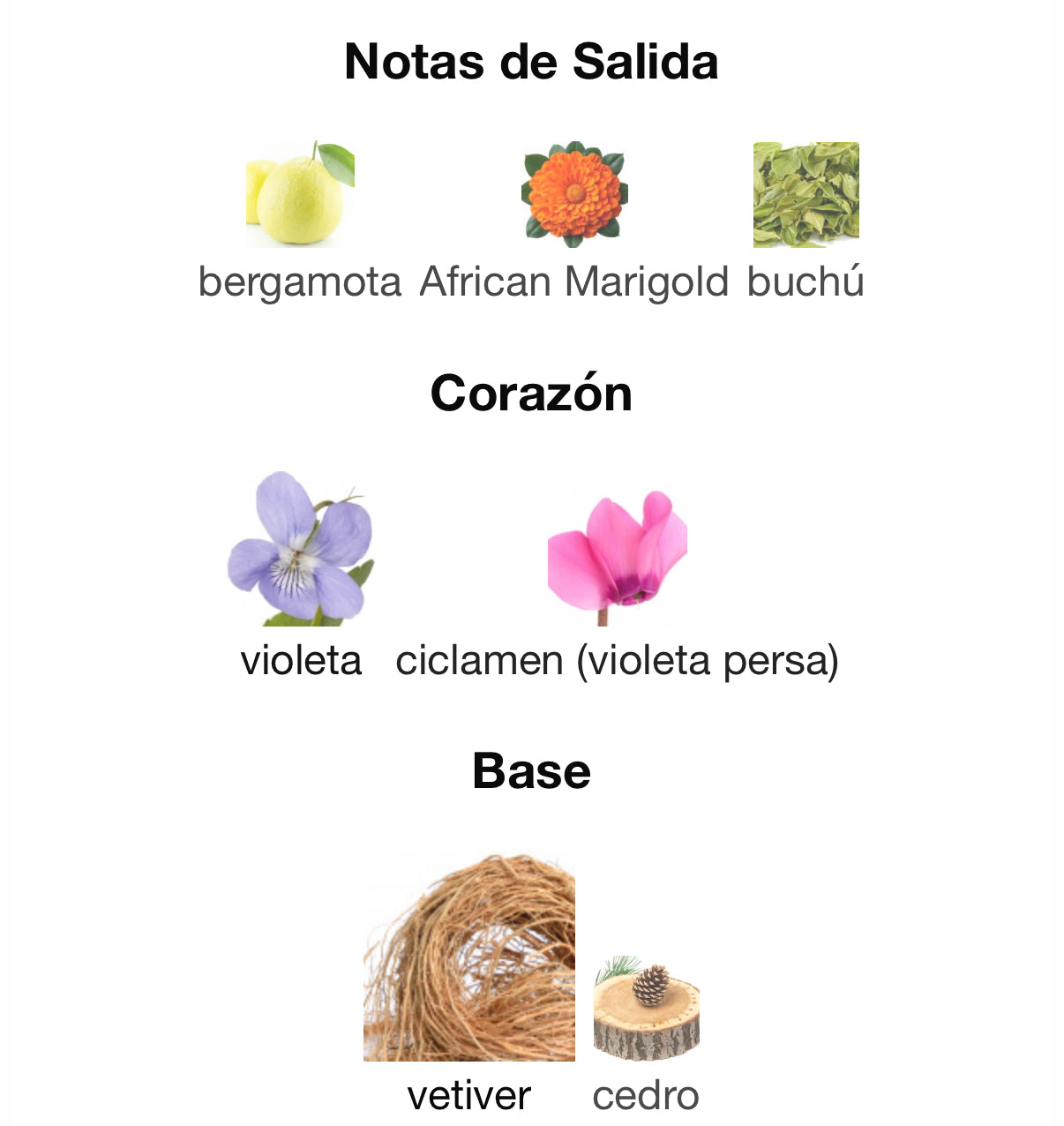 Bal D’ Afrique Eau de Parfum 100 ml Byredo