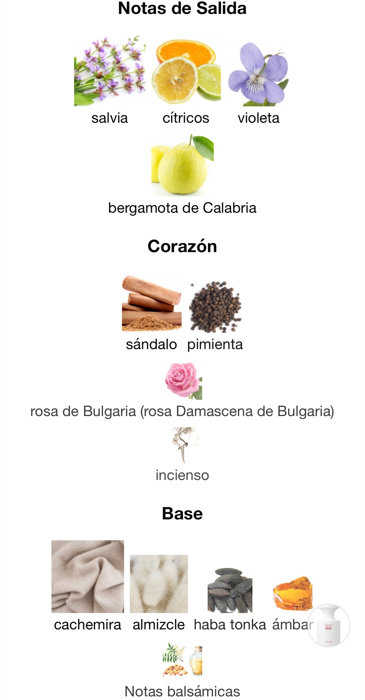 DGAF Eau de Parfum Born to Stand Out 50 ml