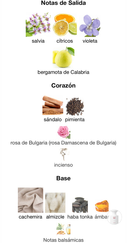 DGAF Eau de Parfum Born to Stand Out 50 ml