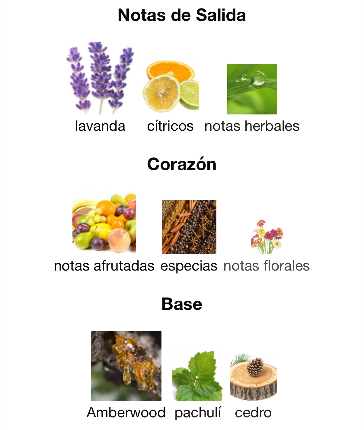 Sospiro Traviata Eau de Parfum 100 ml (Preventa)