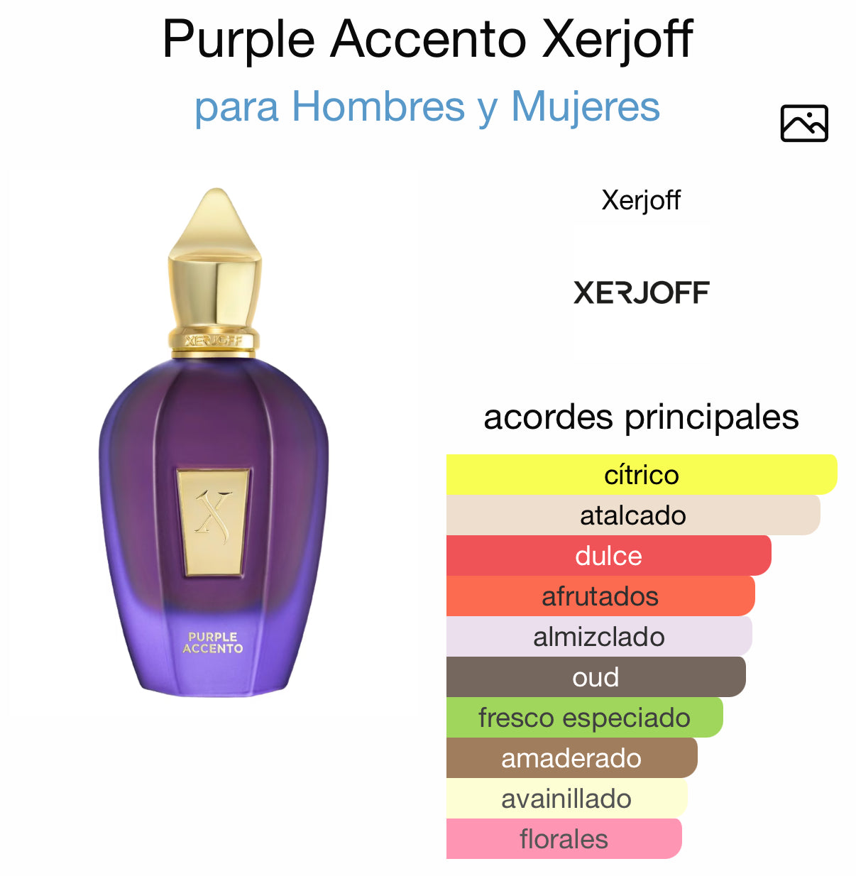 Purple Accento Eau de Parfum Xerjoff 100 ml (Preventa)