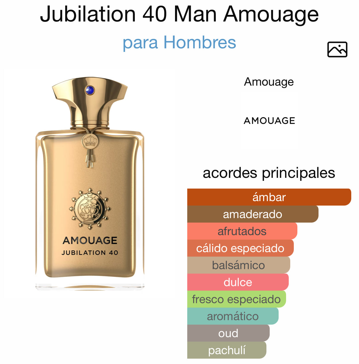 Amouage Jubilation 40 Man Extrait de Parfum 100 ml – Perfumes Robols
