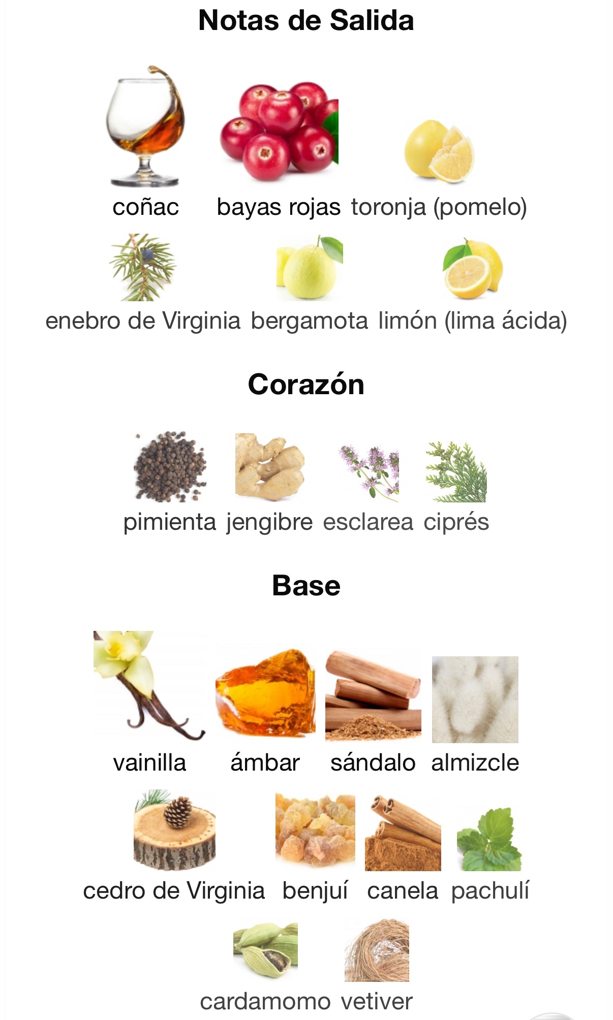 Drunk Lovers Eau de Parfum Born to Stand Out (Preventa)