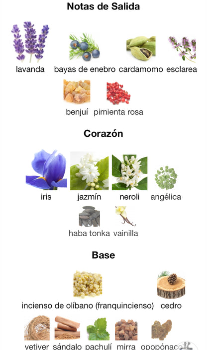 Amouage Reflection 45 Extrait de Parfum 100 ml