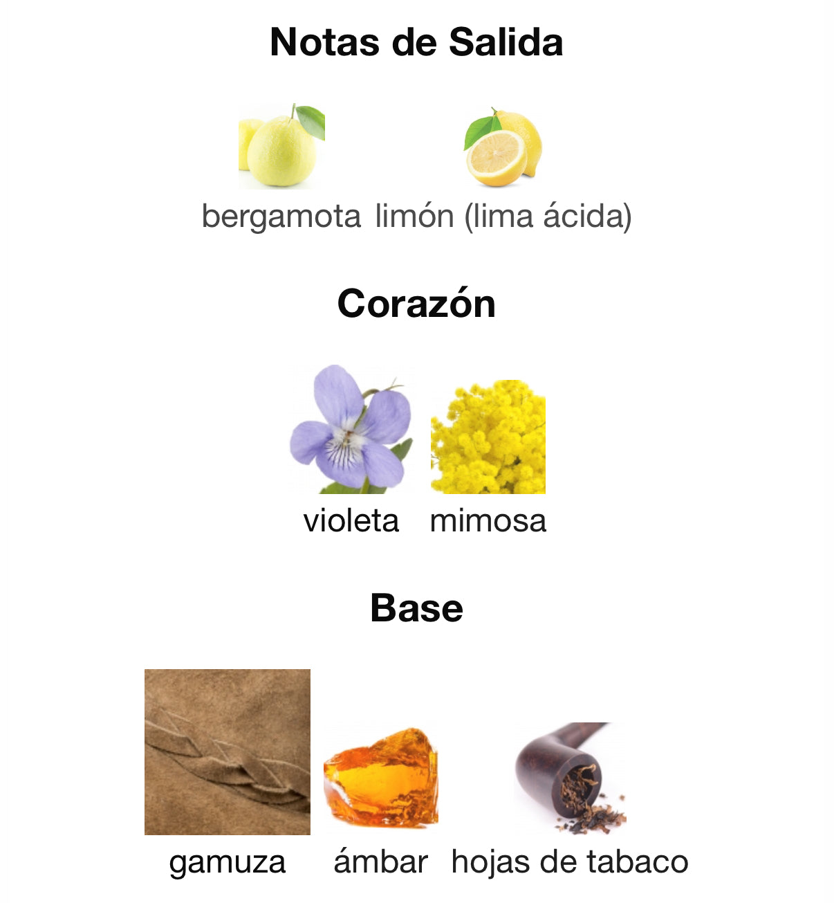 Animalique Eau de Parfum Byredo 100 ml