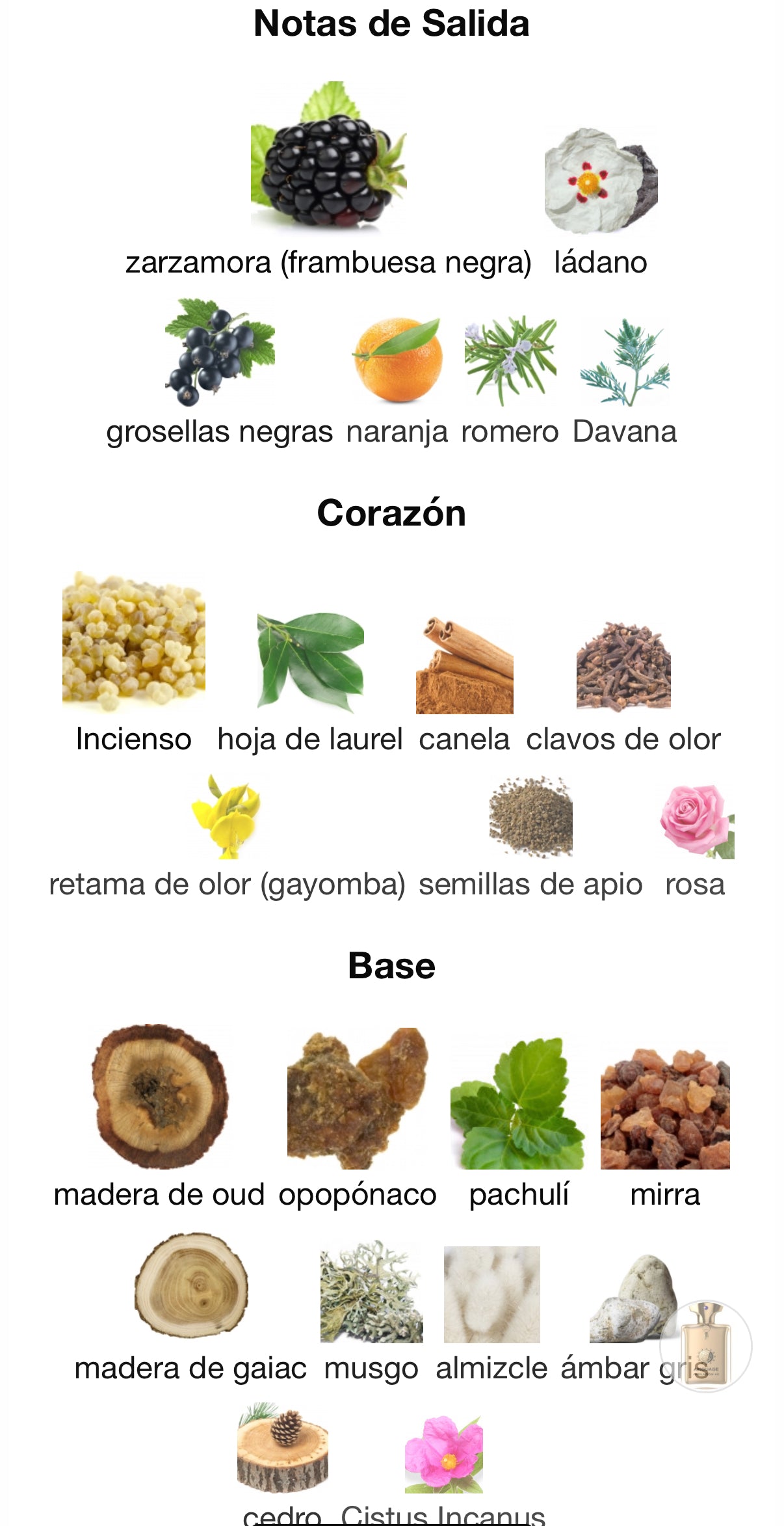 Amouage Jubilation 40 Man Extrait de Parfum 100 ml