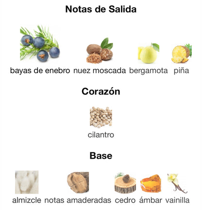 Gentle Fluidity Silver Eau de Parfum Maison Francis Kurkdjian