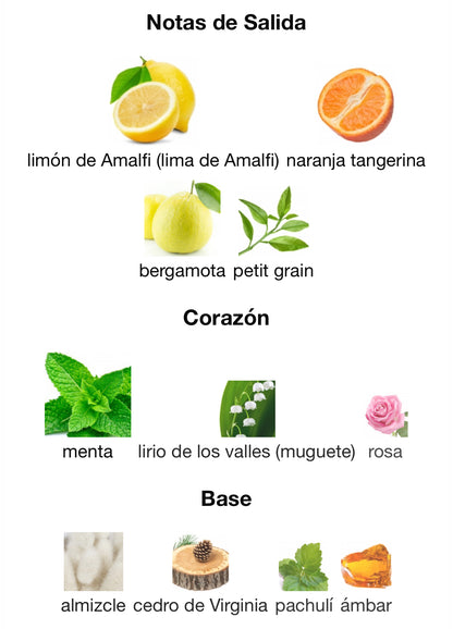 XJ 1861 Renaissance Xerjoff Eau de Parfum 100 ml (Preventa)