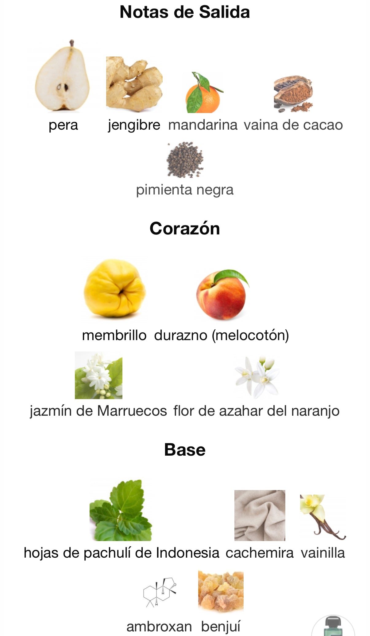 Pas Ce Soir Extrait 100 ml BDK Parfums (Preventa)