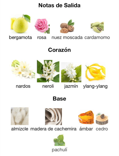 Torino 23 Xerjoff Eau de Parfum 50 ml (Preventa)