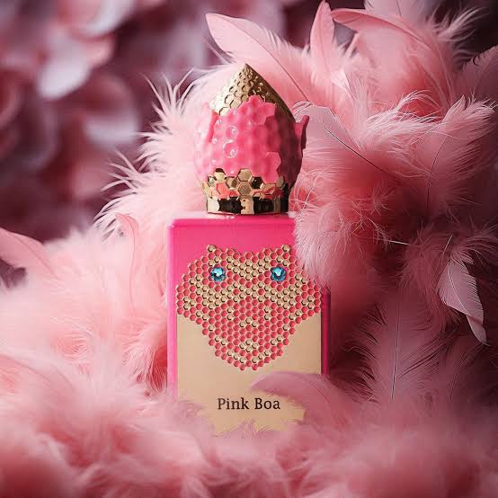 Pink Boa Stephane Humber Lucas 50 ml (Preventa)