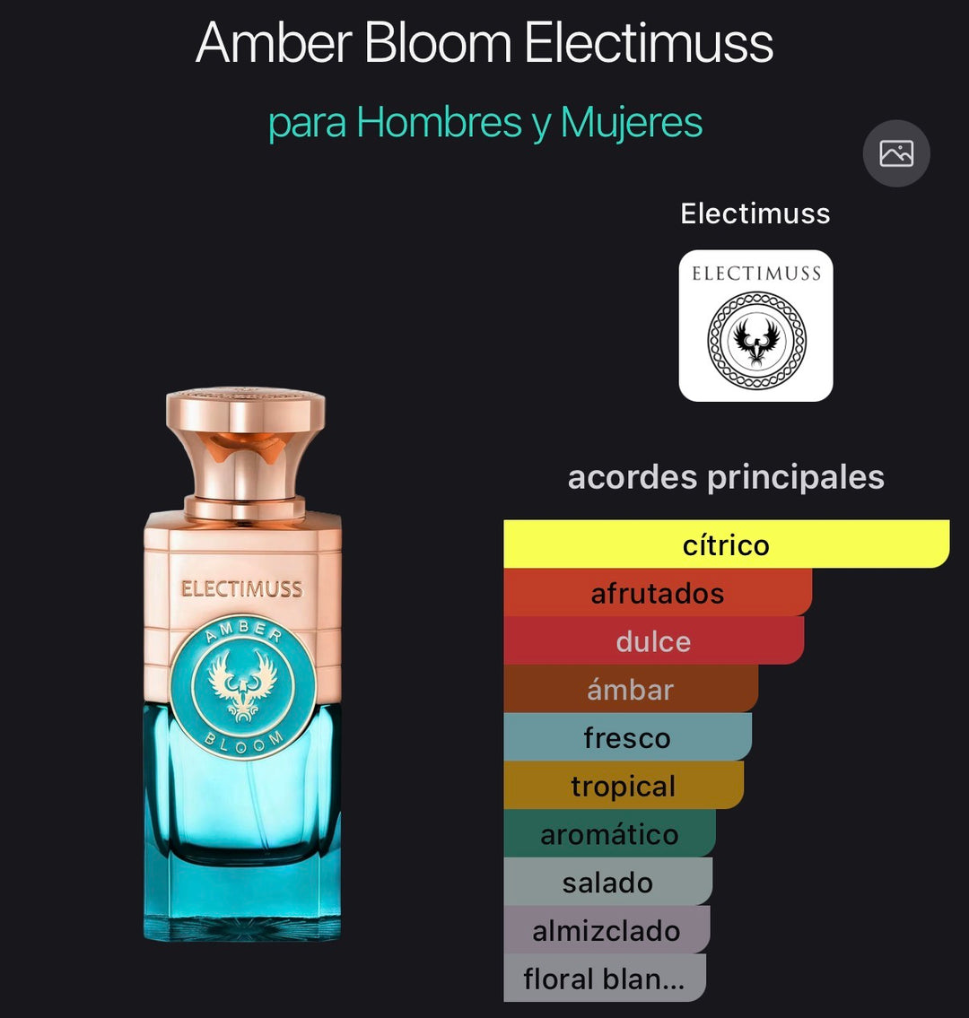 Acordes principales de Amber Bloom de Electimuss