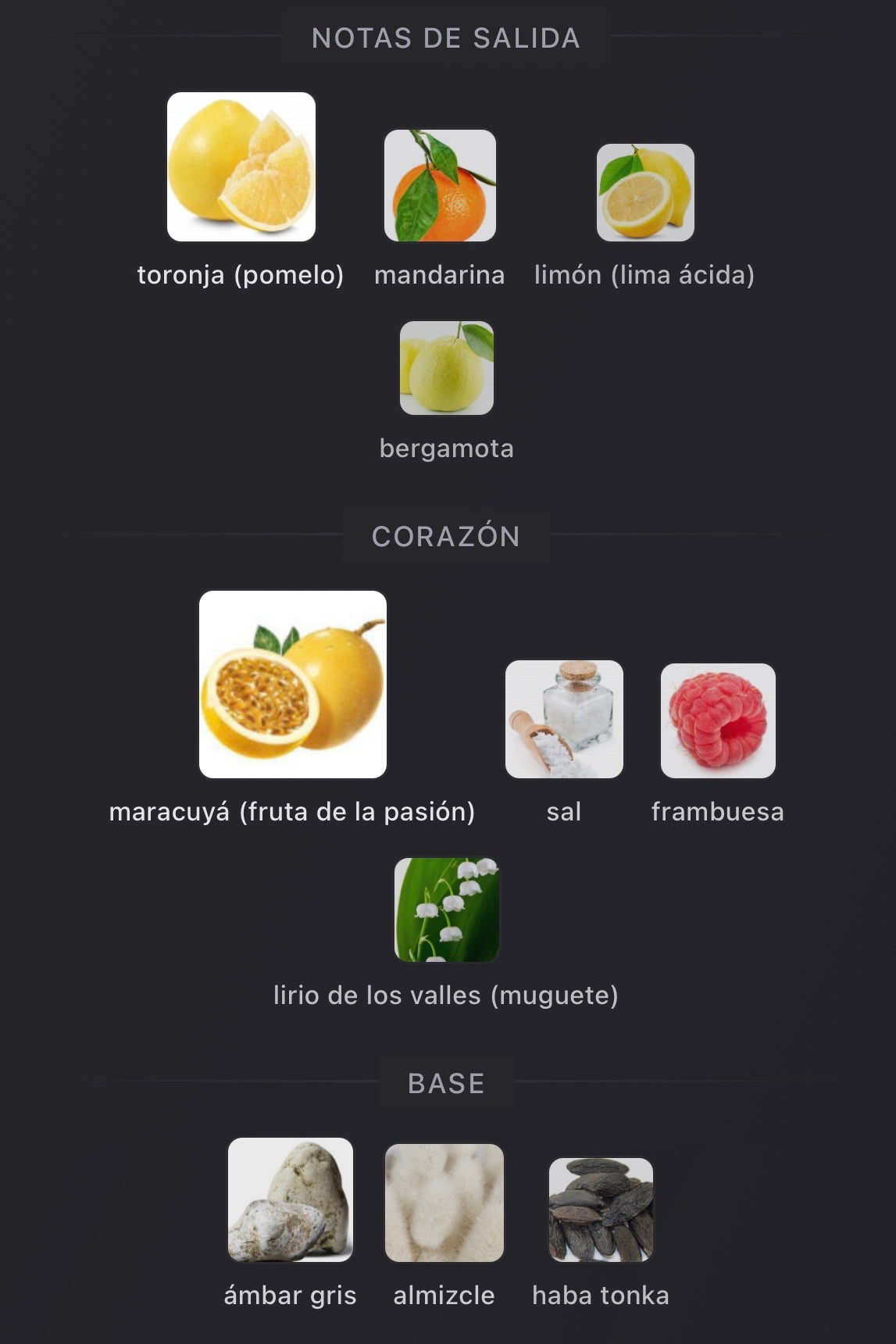 Notas olfativas de Amber Bloom de Electimuss